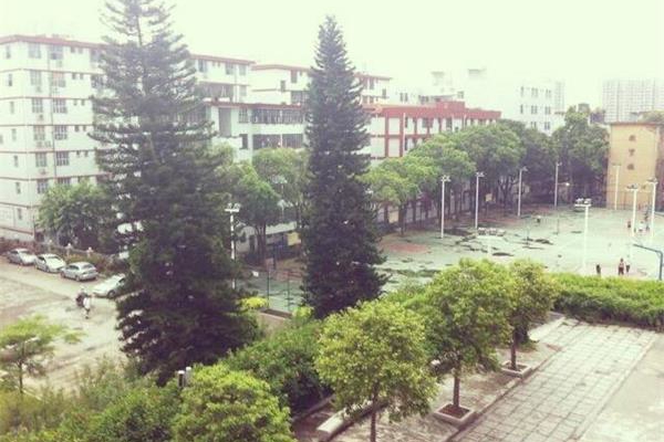 返母校实践队8月2日简报 (3)