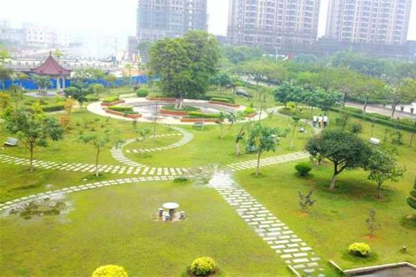 返母校实践队8月3日简报 (3)