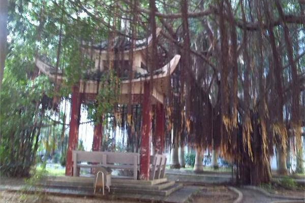 母校行之惠安一中 (3)